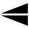 Flip Image